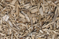 biomass boilers Pen Y Bryn