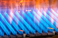 Pen Y Bryn gas fired boilers